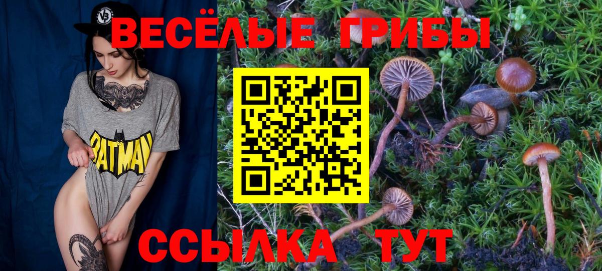 Курганинск  Галлюциногенные грибы прущие грибы  Вход с VPN 