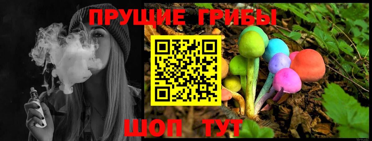 Галлюциногенные грибы Psilocybe Курганинск